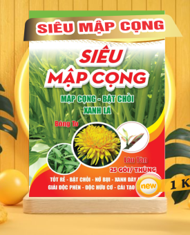 SIÊU MẬP CỌNG