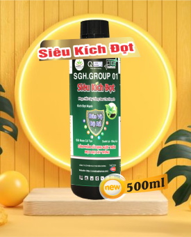 Siêu kích đọt(vọt đọt mạnh)