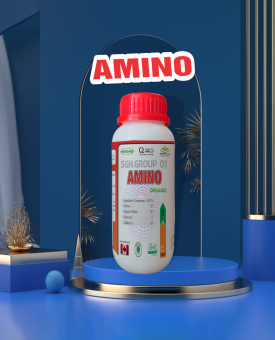 AMINO HADAO