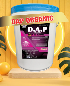 D.A.P XÔ DAP 20-58 Humate