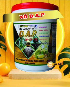 XÔ D.A.P 20KG