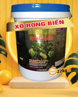 XÔ RONG BIỂN 22KG