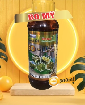 Bo Mỹ