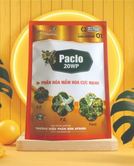 Phân hóa mầm hoa Paclo