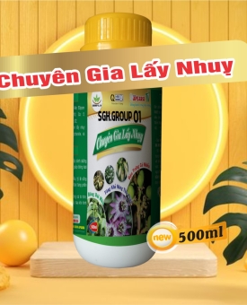 Chuyên gia lấy nhụy 500ml