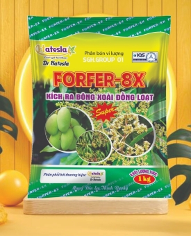 FORFER-8X kích ra bông xoài đồng loạt 1kg