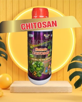 Chitosan hỗ trợ lớn trái phì trái 1L