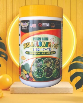 8-52-17 phân hoá tạo mầm hoa