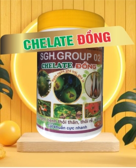Chelate Đồng trị bệnh thối thân, thối rễ 1kg