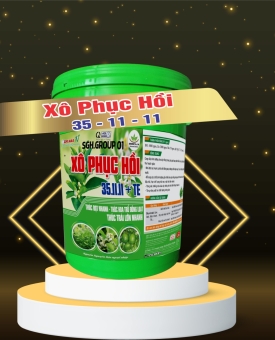 XÔ PHỤC HỒI 35-11-11