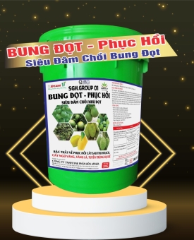XÔ BUNG ĐỌT - PHỤC HỒI