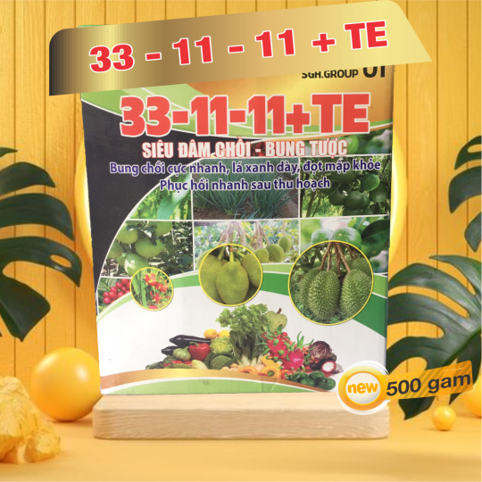 33-11-11+TE