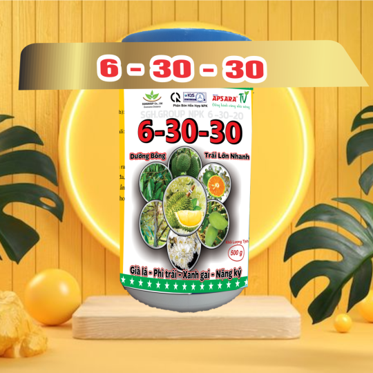 6-30-30 NPK phân bón làm già lá Kích mầm