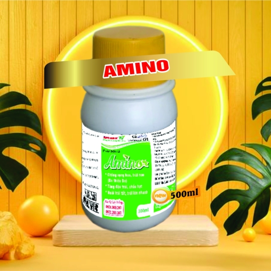 AMINO