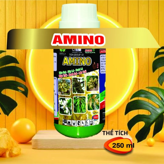 AMINO CHAI 250ml