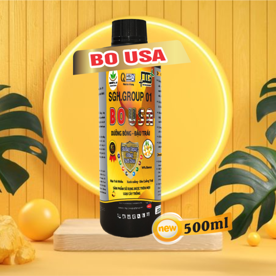 BO USA