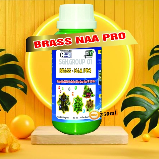 BRASSINOLINE BRASS NAA PRO CHỐNG RỤNG SINH LÝ TRÊN CÂY SẦU RIÊNG DG