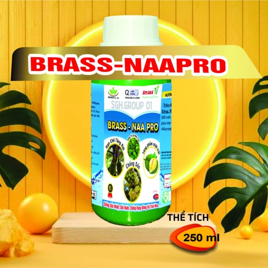BRASSINOLINE BRASS NAA PRO CHỐNG RỤNG SINH LÝ TRÊN CÂY SẦU RIÊNG