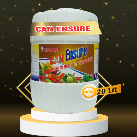 CAN ENSURE