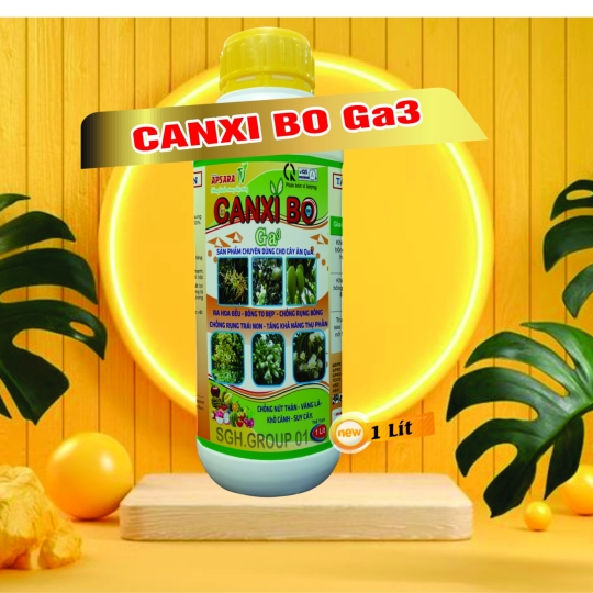 CANXI BO GA3