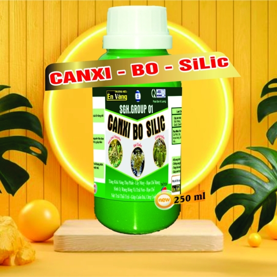 CANXI BO SILIC 250ML