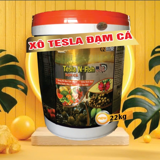 ĐẠM CÁ TESLA N FISH