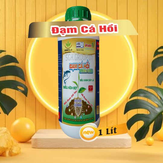 Đạm cá hồi