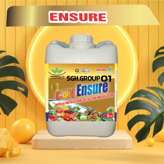 ENSURE CAN 5LIT