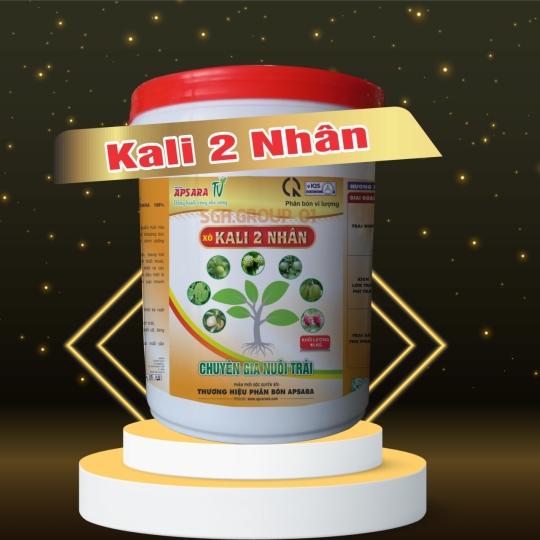 KALI 2 NHÂN