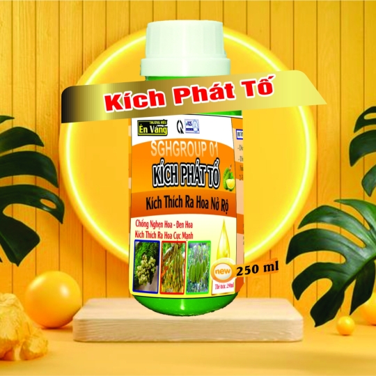 KÍCH PHÁT TỐ