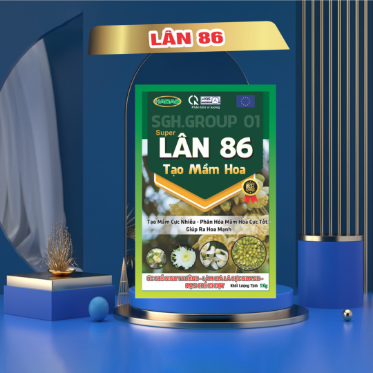 Lân 86 tạo mầm hoa lân phosphate