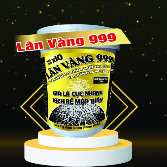 LÂN VÀNG 999