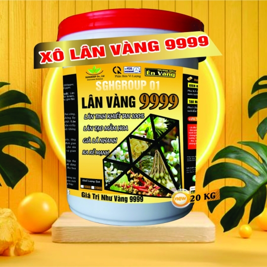 XÔ LÂN VÀNG 9999