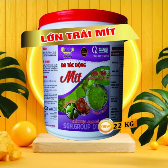 LỚN TRÁI MÍT 22KG