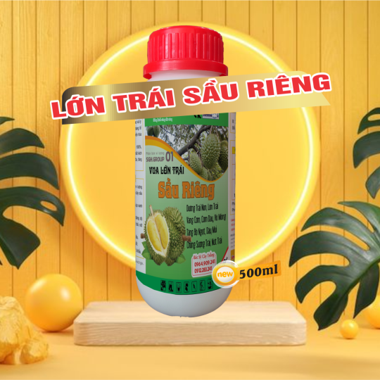 VUA LỚN TRÁI SẦU RIÊNG