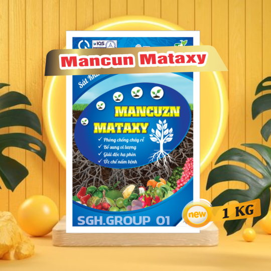 MANCUZN METALAXYL RIDOMIL 1KG