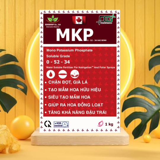 MKP 05234(MKP HAI BINH) mkp haifa