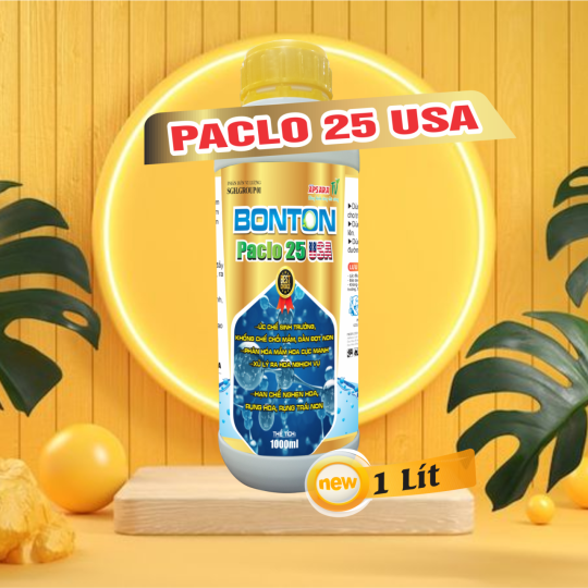 PACLO CHAI 25 BONTON