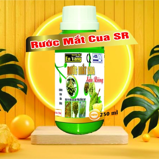 RƯỚC MẮT CUA SẦU RIÊNG