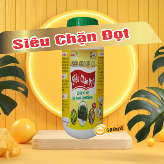 SIÊU CHẶN ĐỌT