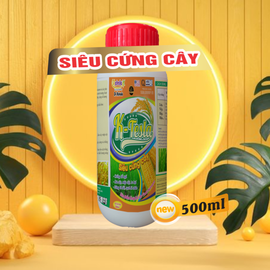 K - TESLA SIÊU CỨNG CÂY