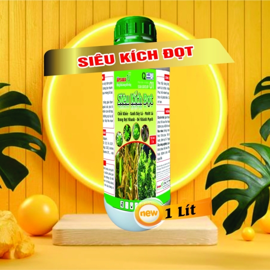 SIÊU KÍCH ĐỌT