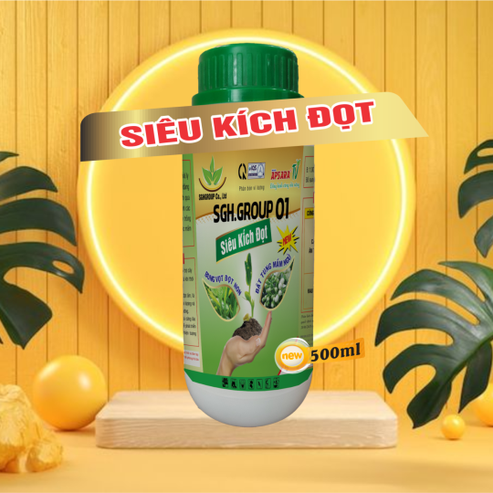 SIêu Kích Đọt Chai 500ml