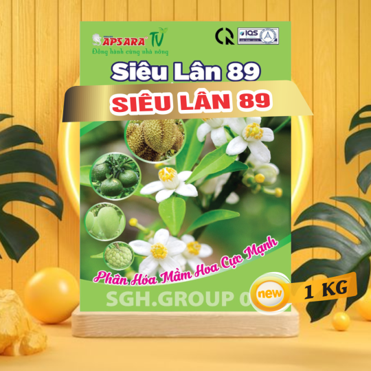 LÂN 89