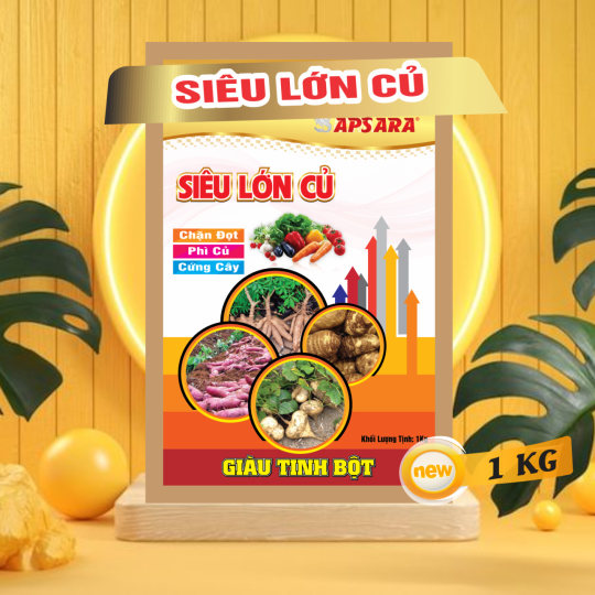 SIÊU TO CỦ LỚN CỦ