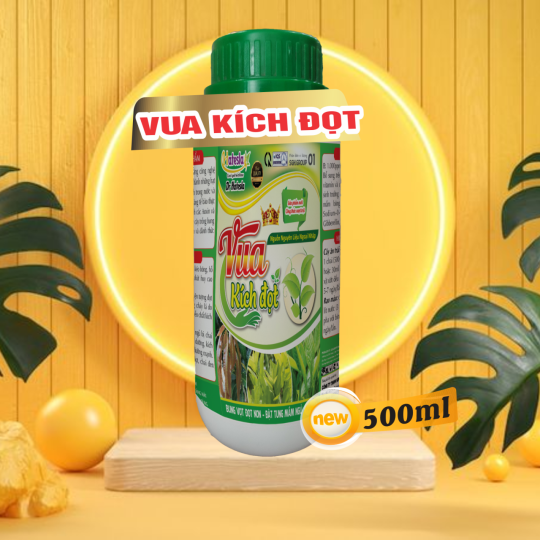 VUA KÍCH ĐỌT HATESLA