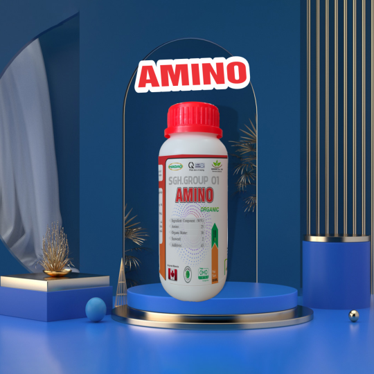 AMINO HADAO