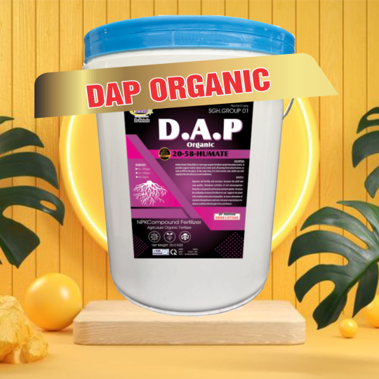 D.A.P XÔ DAP 20-58 Humate