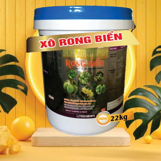 XÔ RONG BIỂN 22KG