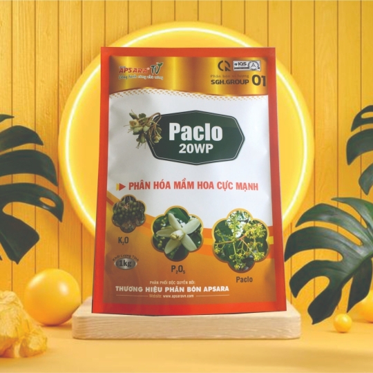 Phân hóa mầm hoa Paclo